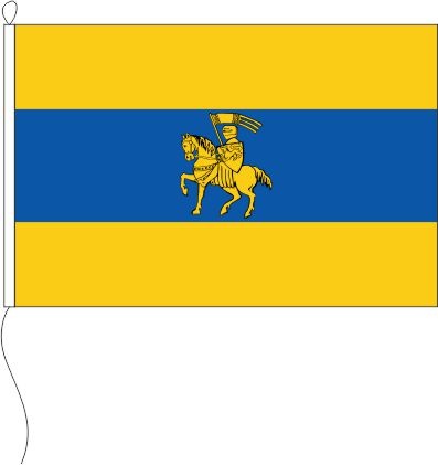 Schwerin mit Wappen - Querformatflagge